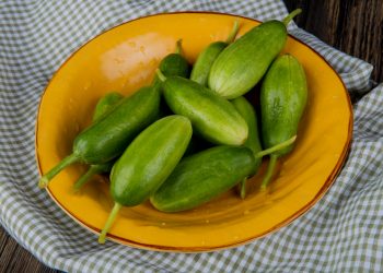 Manfaat 7 Belimbing Wuluh untuk Kesehatan Tubuh