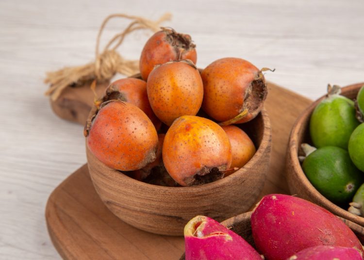 Ketahui Manfaat Buah Pinang Untuk Kesehatan Tubuh