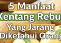 Kentang Rebus dan Lima Manfaatnya bagi Kesehatan Tubuh