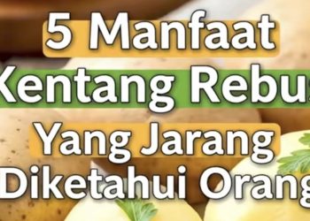 Kentang Rebus dan Lima Manfaatnya bagi Kesehatan Tubuh