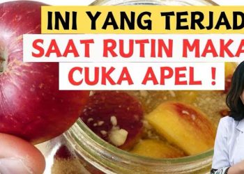 Cuka Apel, Manfaatnya Banyak, Tapi Jangan Asal Minum