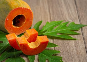 Pahit Tapi Bagus Untuk Kesehatan, Kenali 7 Manfaat Daun Pepaya untuk Tubuh