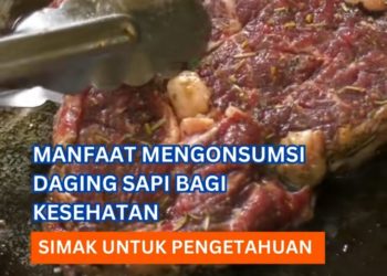Manfaat Mengonsumsi Daging Sapi bagi Kesehatan