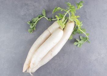 Mengupas Kandungan dan Manfaat Lobak untuk Kesehatan