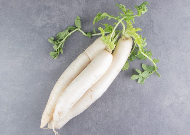 Mengupas Kandungan dan Manfaat Lobak untuk Kesehatan