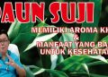 Mengenal Manfaat Daun Suji, Ulasan Kesehatan Bersama dr. Fery Juliawan