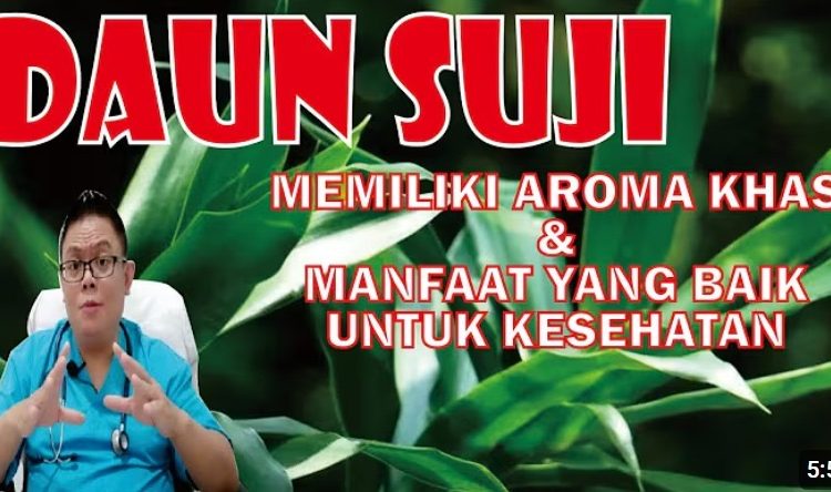 Mengenal Manfaat Daun Suji, Ulasan Kesehatan Bersama dr. Fery Juliawan