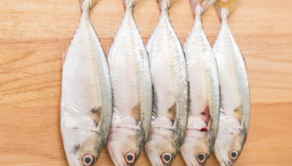 Penting Untuk Kecerdasan Otak Janin, Kenali 5 Manfaat Ikan Kembung untuk Ibu Hamil dan Janin