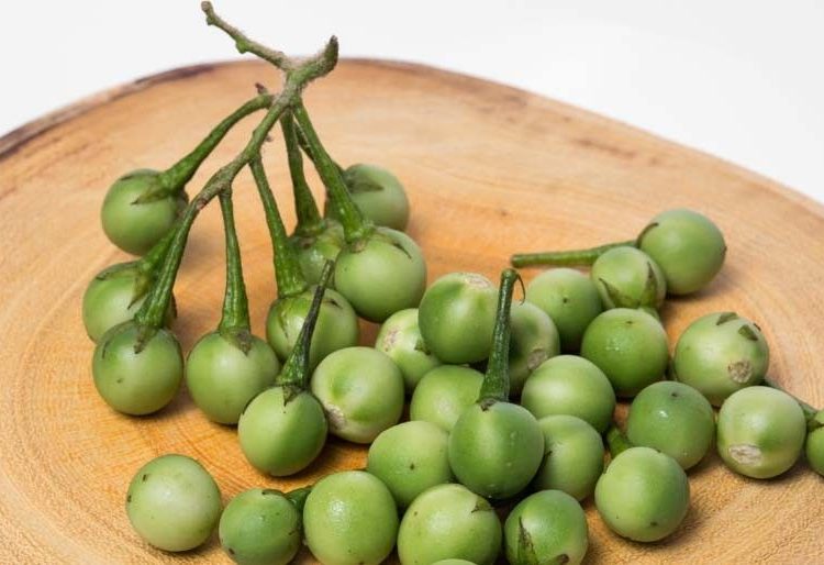 Tak Disangka! 5 Manfaat Buah Takokak untuk Kesehatan