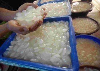 Tips Menghilangkan Rasa Kecut pada Kolang Kaling agar Hidangan Semakin Sedap