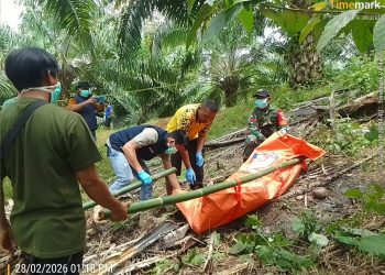 Heboh, Warga Kaur Ditemukan Membusuk di Perkebunan Sawit