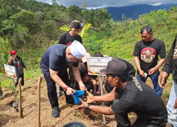 Gubernur Helmi Hasan Launching Penanaman 45 Ribu Pohon Kopi Merah Putih di Lebong