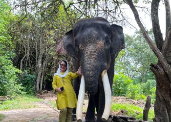 Kunjungi PLG Seblat, Senator Destita Kampanyekan Jaga Habitat Gajah Sumatera