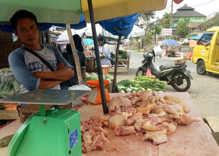 Harga Ayam Potong di Kota Bengkulu Tembus Rp 45 Ribu Per Kg Jelang Ramadan 1447 H