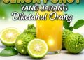 Jus Jeruk Purut, Buah Kecil Kaya Manfaat yang Bagus Untuk Kesehatan Tubuh