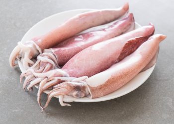 Amankah Ibu Hamil Konsumsi Cumi-cumi? Begini Penjelasannya