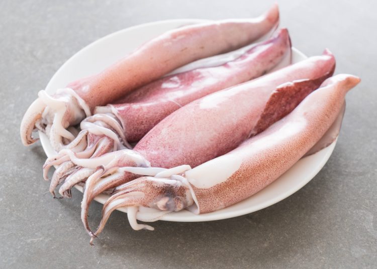 Amankah Ibu Hamil Konsumsi Cumi-cumi? Begini Penjelasannya