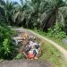 Jalan Rusak di Pino Raya Bengkulu Selatan Disulap Jadi Tempat Pembuangan Sampah