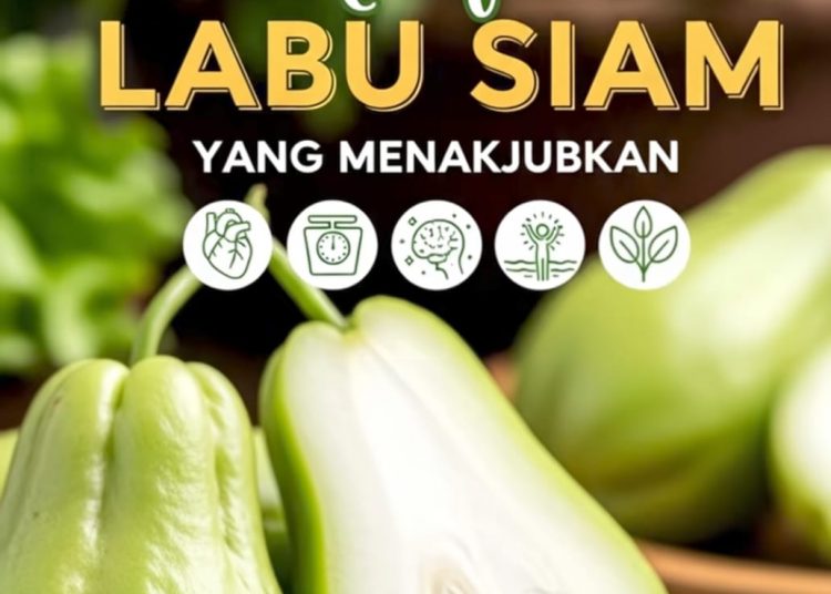 Ketahui Manfaat Labu Siam Untuk Kesehatan Tubuh